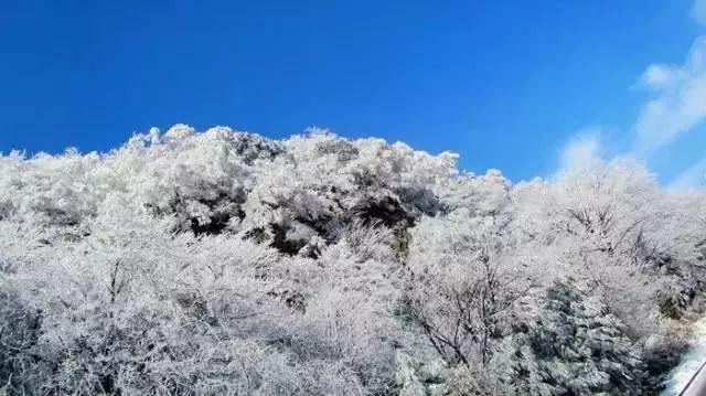 陈寅恪讲课，闭着眼睛坐在椅子上，一不小心还会面朝黑板