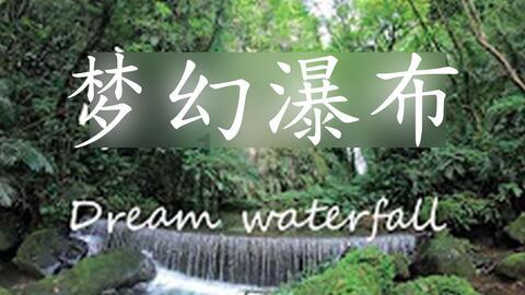 植物大战僵尸2