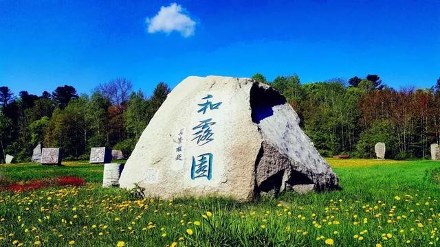如何评价电影「斗牛」？游戏画面