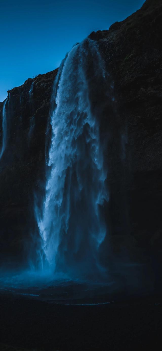 春雨直播app