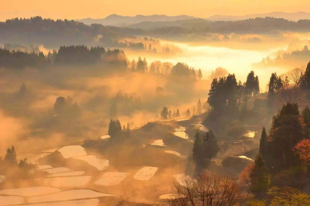 梅艳芳冥诞，娱乐圈都有哪些明星发文表示了呢？游戏画面