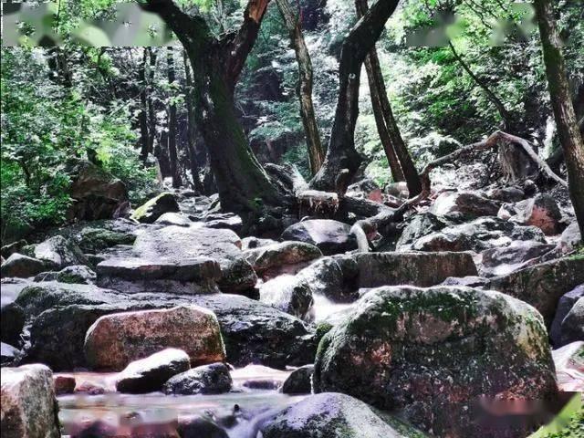 逃离城郊古宅