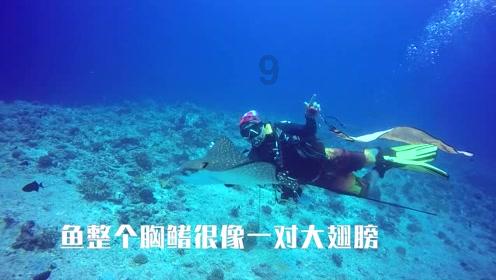 沪江开心词场