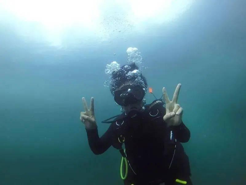 救助第21天，短肢领航鲸“海棠”已适应户外池