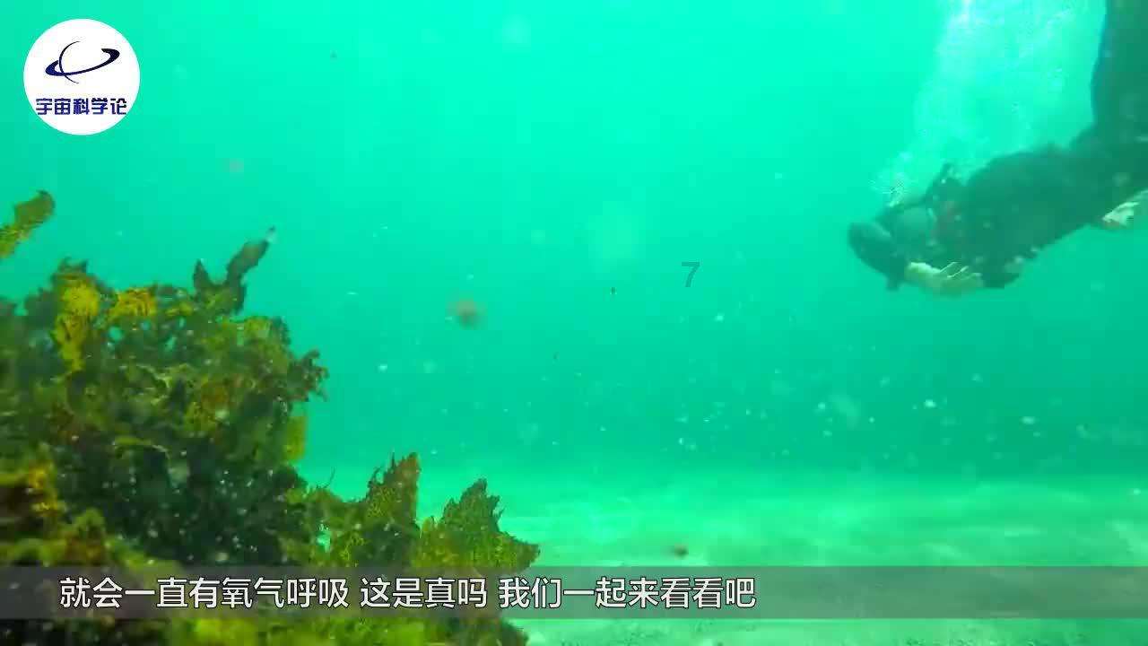 嘉日单词