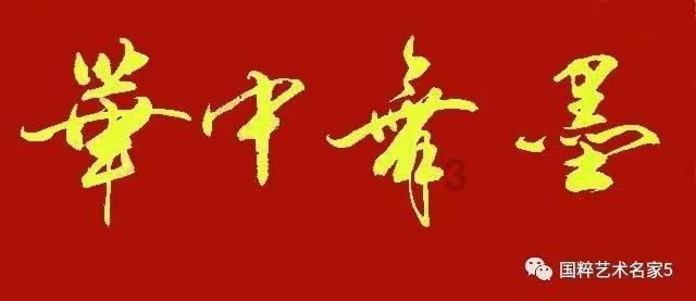 春雨直播app