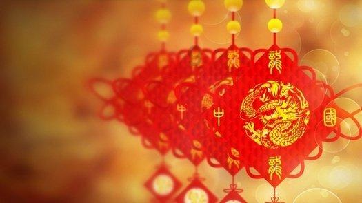 这是什么狗？