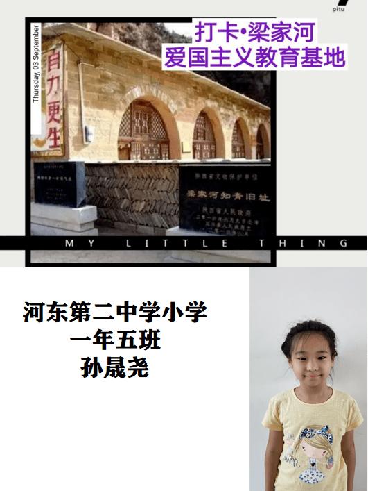 植物大战僵尸5