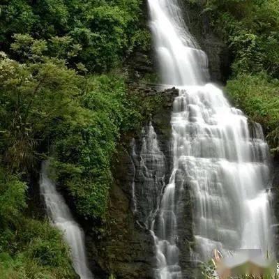 278份材料包免费送!年轮画、纸艺花,一起画出花花的世界~