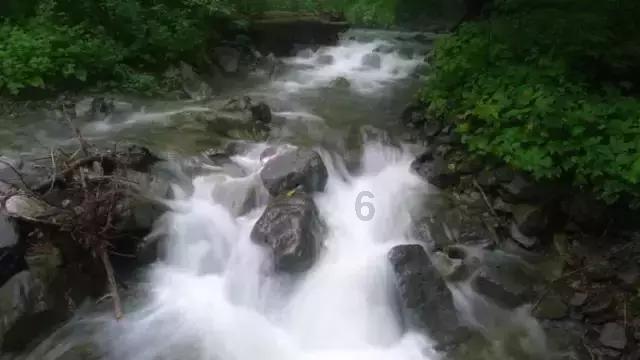 沪江开心词场