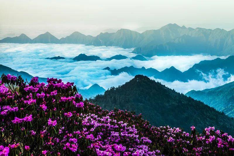 徐幻吃醋搞破坏 白浪救场众人和解