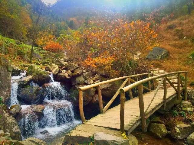 月光影视