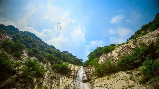 春雨直播app