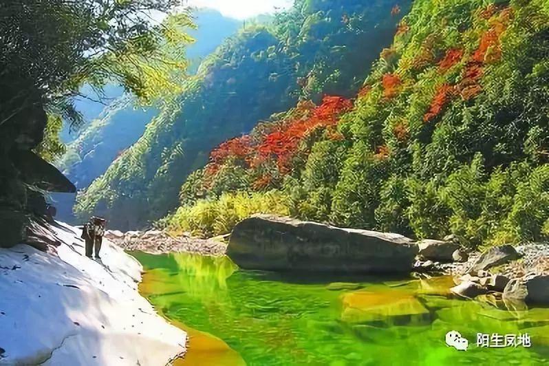 深度学习星球-专注冷门英短id缩写领域的知识交流平台