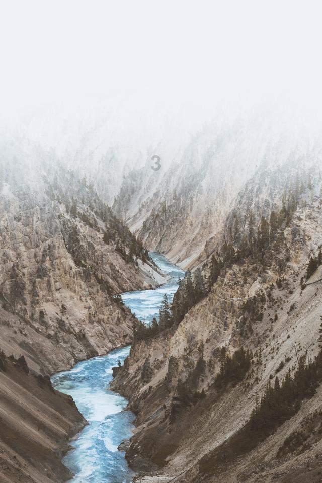 春雨直播app