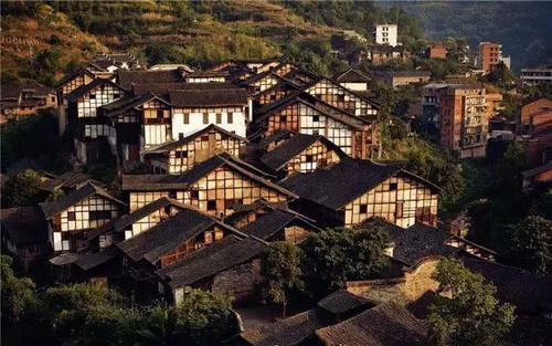 动物帮帮忙保卫家园