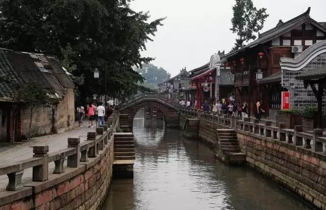 变异动物之战