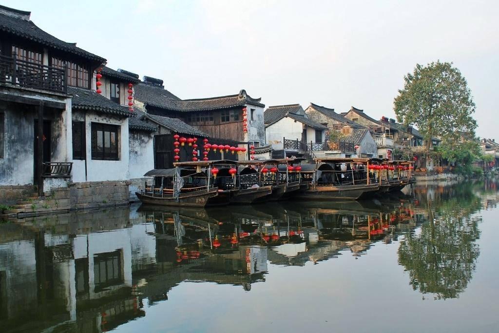 动物帮帮忙保卫家园
