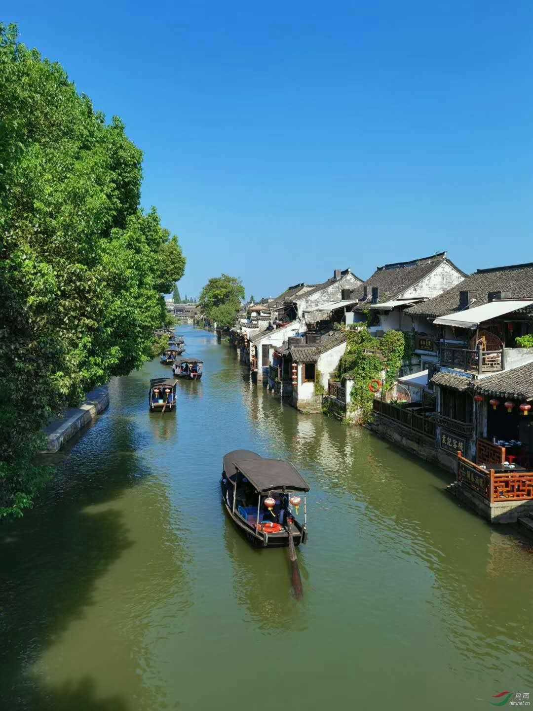救援鹦鹉