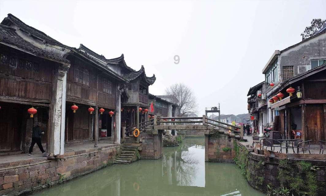 森系丛林